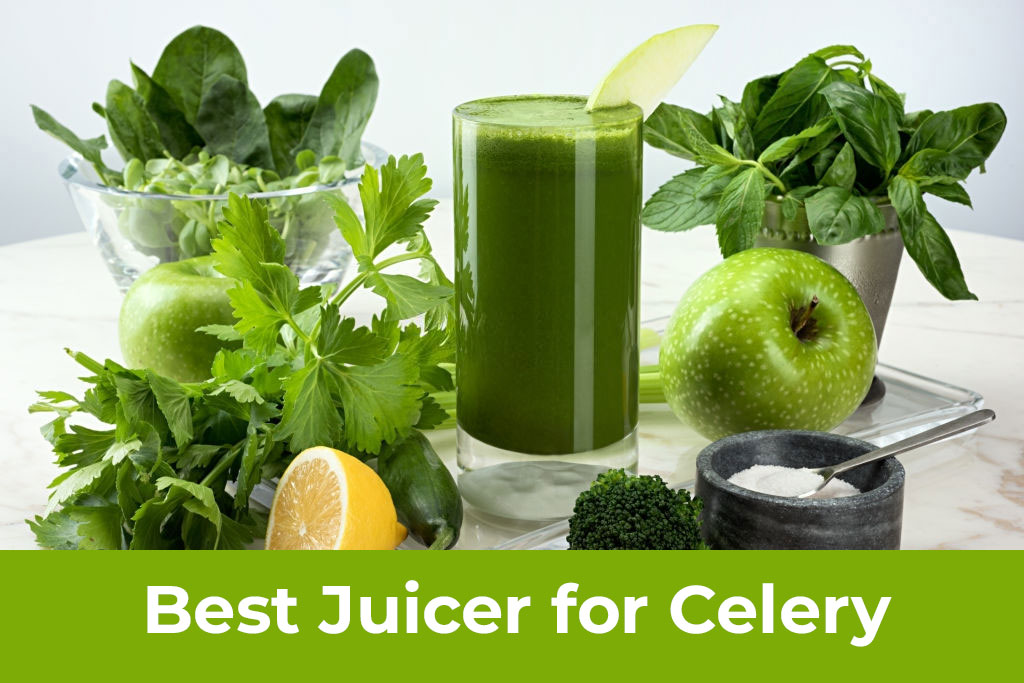 Best Juicer For Celery