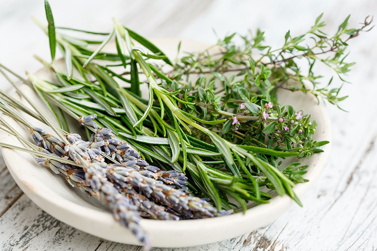 Rosemary Substitutes