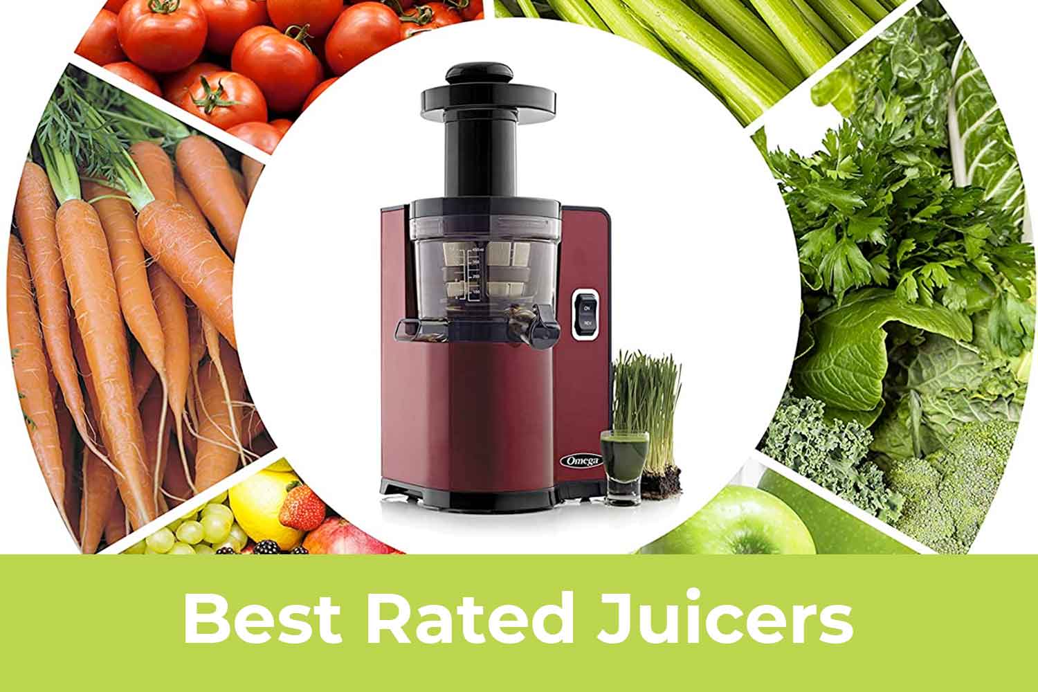 Best Rated Juicers