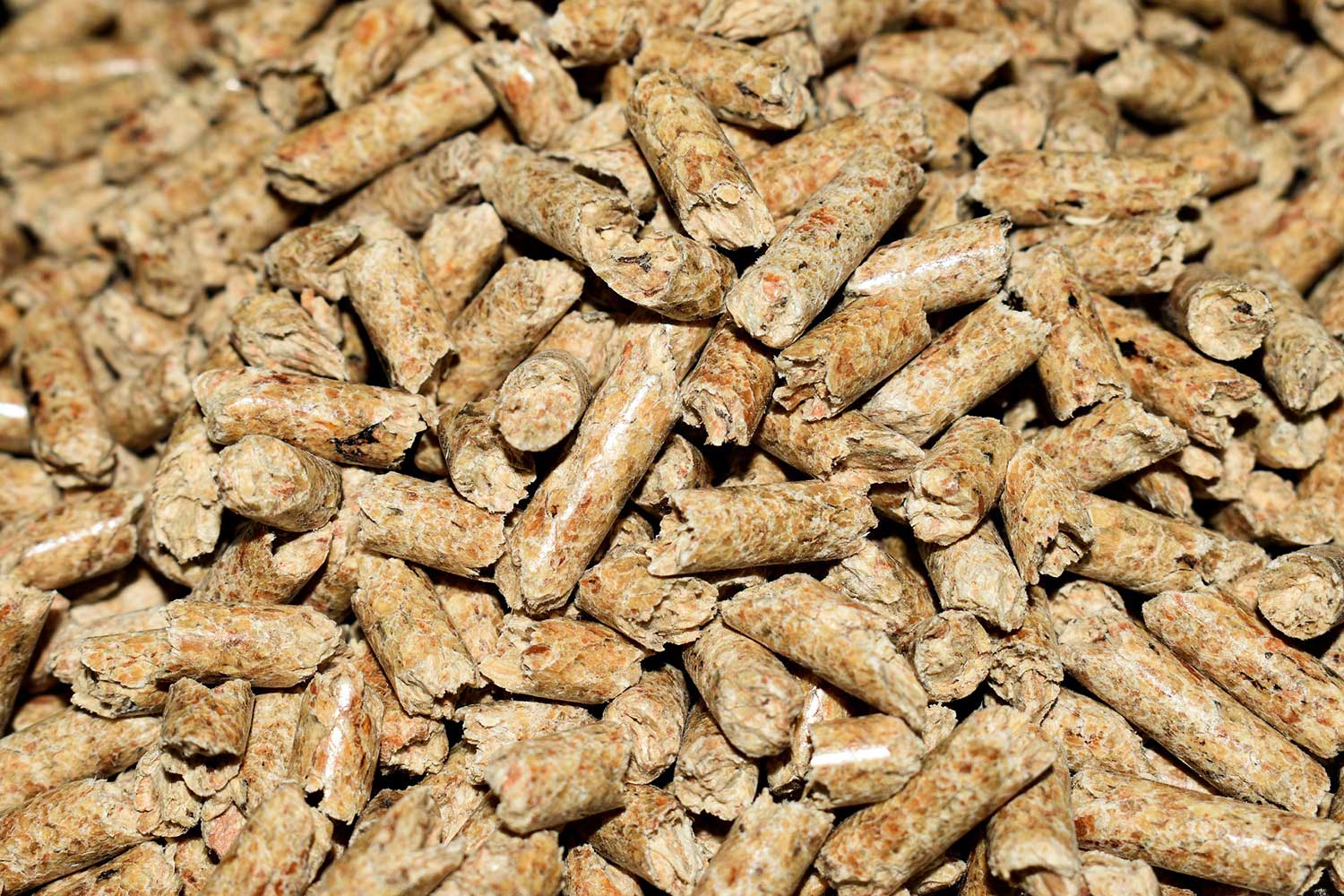Wood Pellets in Your Electric Smoker
